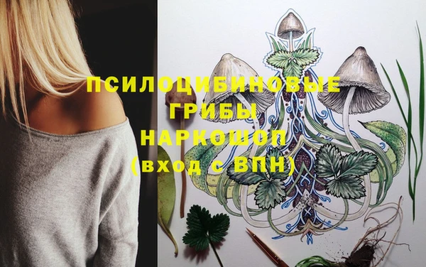 соль курить ск Горнозаводск