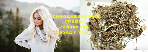 соль курить ск Горнозаводск