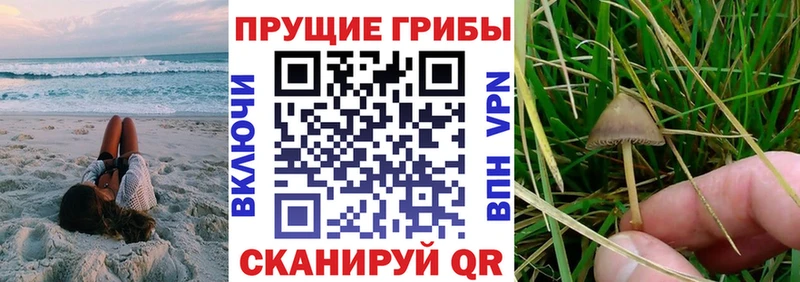 Галлюциногенные грибы прущие грибы  ОМГ ОМГ маркетплейс  Меленки 
